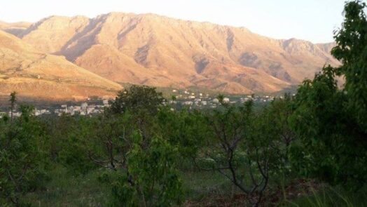 برعاية ميليشيا حزب الله.. مصنع جديد للحبوب المخدرة في سرغايا بريف دمشق